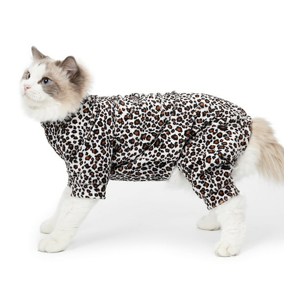 Cat Recovery Suit
