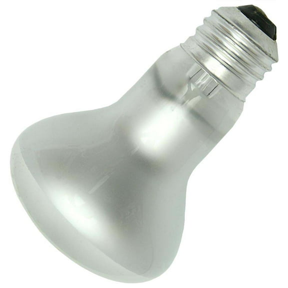GE 73029 - 45R20/130V Reflector Flood Light Bulb