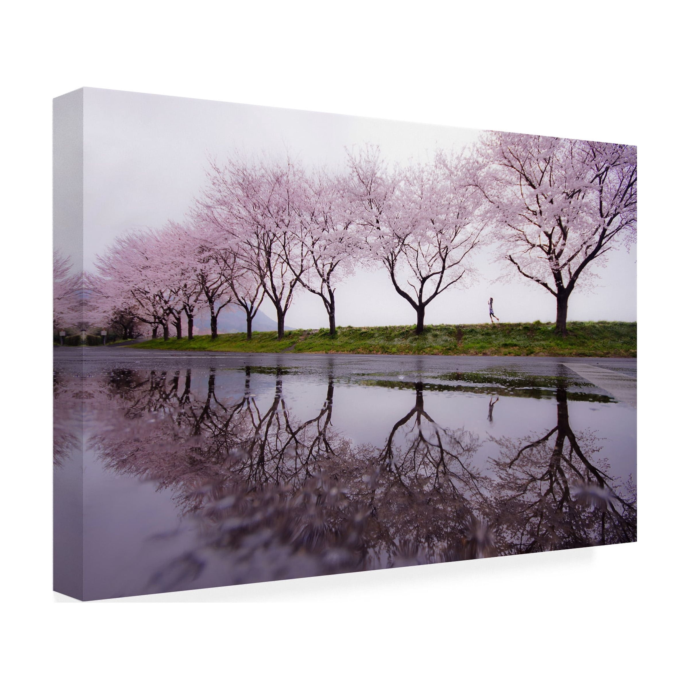Kouji Tomihisa 'Rain Of Spring' Canvas Art