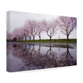 thumbnail image 4 of Kouji Tomihisa 'Rain Of Spring' Canvas Art, 4 of 4