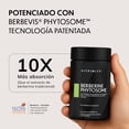 thumbnail image 2 of Berberina 1000mg Vitfinity | 10X Absorción con Berbevis® Phytosome® | Fórmula Dual Action HCL | 60 Cápsulas, 2 of 6