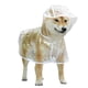 thumbnail image 1 of Mascota Transparente Impermeable, S/M/L, Poncho de Lluvia de Perros Ligero Transpirable, Ropa de A Prueba de Agua Ajustable, Portátil, 1 of 6