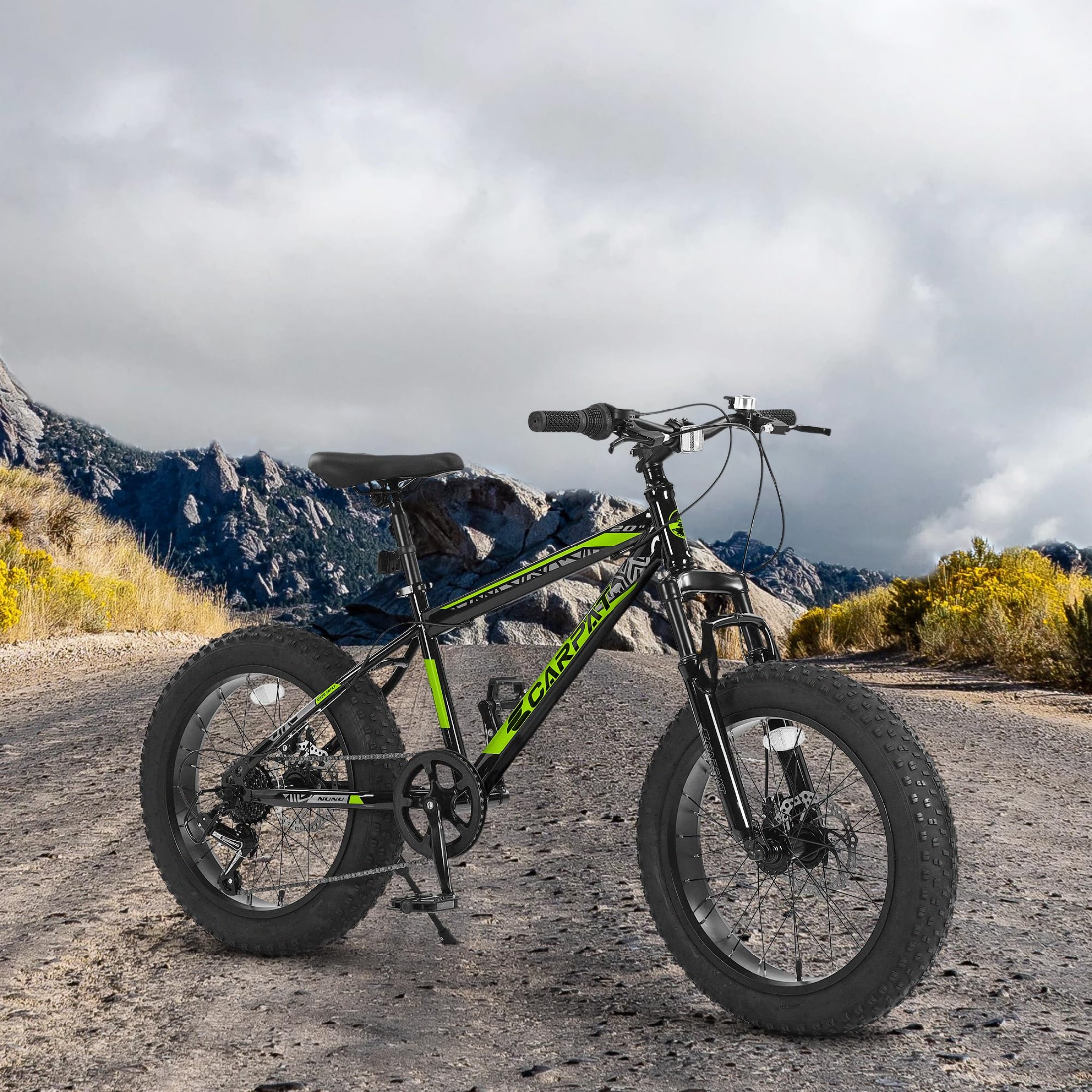 QEEKA 20 Inch Teenagers Mountain Bike,4.0"/2.125" Wide Non-Slip Tires,7-Speed,with Front Suspension,Dual Disc Brakes and Steel Frame,Kids MTB Bicycle for Ages 6-12 Years Old,Blackish Green