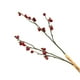 thumbnail image 1 of Ramas de bayas artificiales, palitos de bayas navideñas, bayas falsas para rojo, 1 of 9