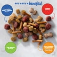 Kibbles 'n Bits Mini Bites Small Breed Savory Beef and Chicken Flavors