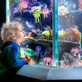 thumbnail image 4 of Tanque Ratas Silic Rium Ornts Artificial Flotante, 4 of 4