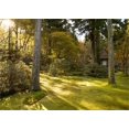 thumbnail image 3 of ABPHQTO 150x220cm Telón de fondo de primavera Casa de madera rústica Bosque Árboles Plantas Hierba verde Campos Sol Naturaleza Paisaje Fotografía al aire libre Fondo Niños, 3 of 3
