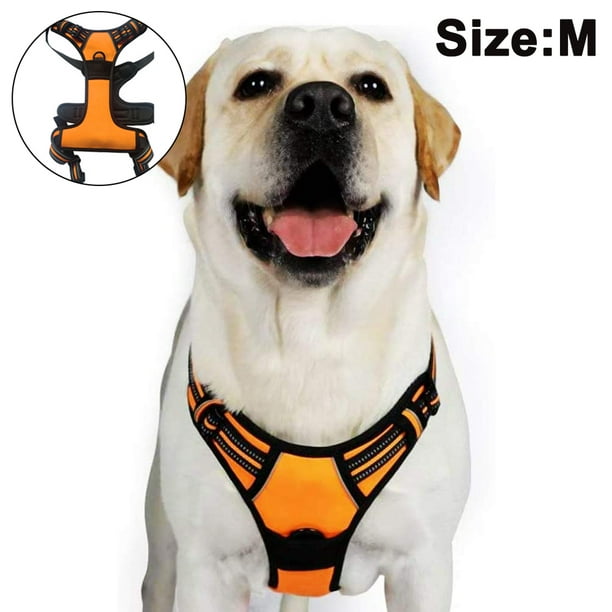 Dog Harness No Pull Walking Pet Harness With 2 Leash Clips And Handle Adjustable Reflective Breathable Oxford Soft Vest Easy Control Front Clip Orange M Walmart Com Walmart Com