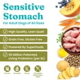 Sensitive Stomach Dog Food for Adult & Senior Dogs Made with Real Quail, Chickpea & Pumpkin