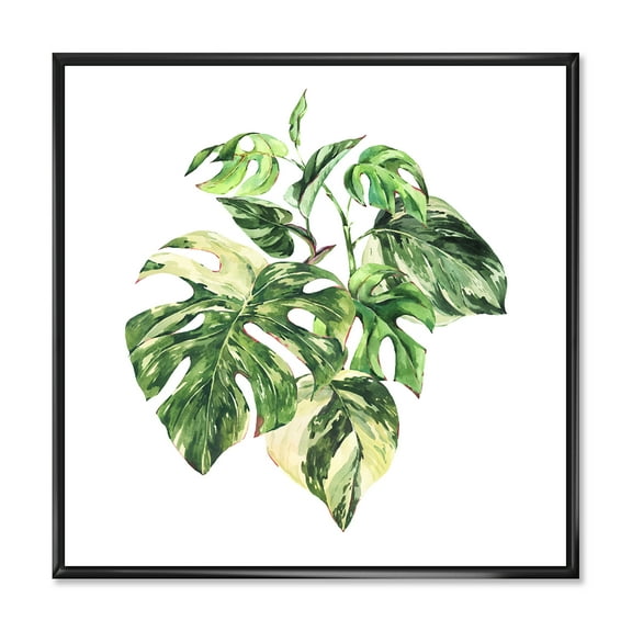Designart 'Tropical Green Leaves On White In Summer Times I' Tropical Framed Canvas Wall Art Print