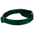 thumbnail image 6 of Country Brook Petz® Martingale Nylon Dog Collar & Double Handle Leash - Green - Extra Large, 6 of 7