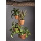thumbnail image 3 of Soporte para plantas Kalmar Home para 4 macetas de terracota con cadena, 3 of 3