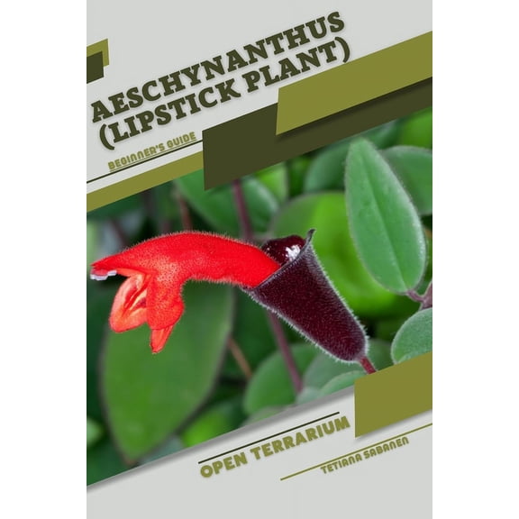 Aeschynanthus (Lipstick Plant): Open terrarium, Beginner's Guide, (Paperback)
