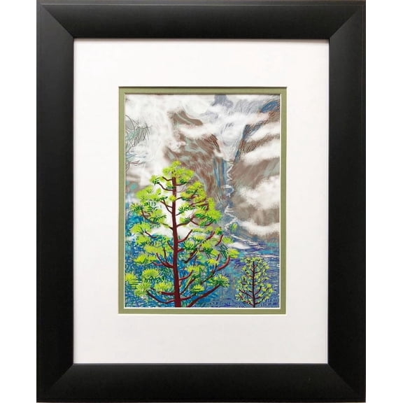 David Hockney "Yosemite I" NEWLY CUSTOM FRAMED Book Folio Derived from a David Hockney Book Generic