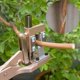 thumbnail image 2 of Aluminum Alloy Garden Grafting Cutting Tool Professional Sharp Bypass Pruning Shears Tree Trimmers Secateurs Clippers Scissor with Anti-Slip Handle Amonsee No, 2 of 5