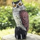 thumbnail image 5 of Espantapájaros de búho Yuarrent plástico realista multifuncional repelente de aves, 5 of 6