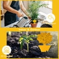 thumbnail image 6 of Innens 12Pcs Sticky Fruit Fly Traps Fungus Gnat Killer Trap Use for Indoor & Outdoor, 6 of 11