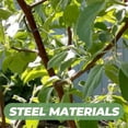 thumbnail image 3 of WEUVEB Fruit Tree Branch Spreaders 10Pcs Silver Galvanized Steel Wire Rubber for Gardening Promotes Light Exposure, 3 of 7