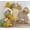 Sage Yellow, variant on Sage Green Yellow Balloon Arch Kit, Mustard Yellow Brown Nude Tan Sand White Balloons for Teddy Bear Bridal Shower Safari Jungle Birthday Gender Reveal Bee Theme Party Decorations