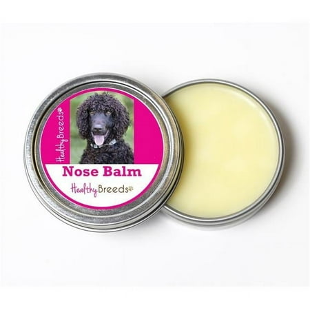 Healthy Breeds 840235190349 2 oz Irish Water Spaniel Dog Nose Balm