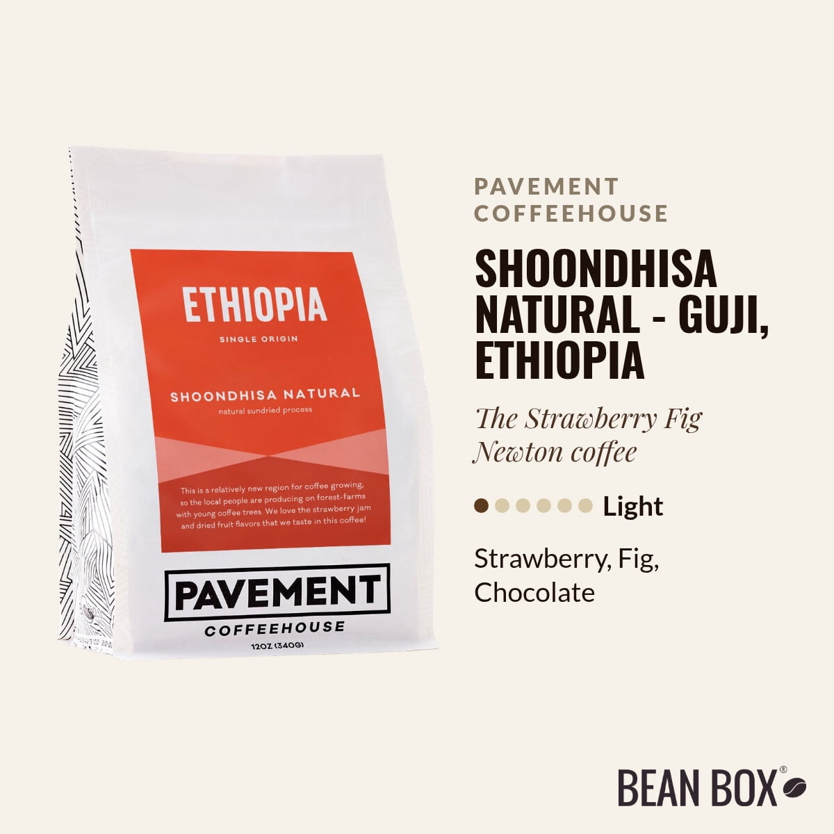 Shoondhisa Natural - Guji, Ethiopia - Roasted by Pavement Coffeehouse - Whole Bean Coffee - 2lb Bag