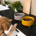 thumbnail image 5 of Waggo Uplift Cuenco de cerámica para perros para razas pequeñas, medianas y grandes, pesado y duradero, plato de comida y agua para mascotas, apto para lavavajillas, comedero elevado moderno (oliva gr, 5 of 5