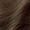 043 Medium Golden Brown, variant on Clairol Balsam Color Long Lasting Permanent Hair Color Kit, 604 Dark Blonde, 4 fl oz