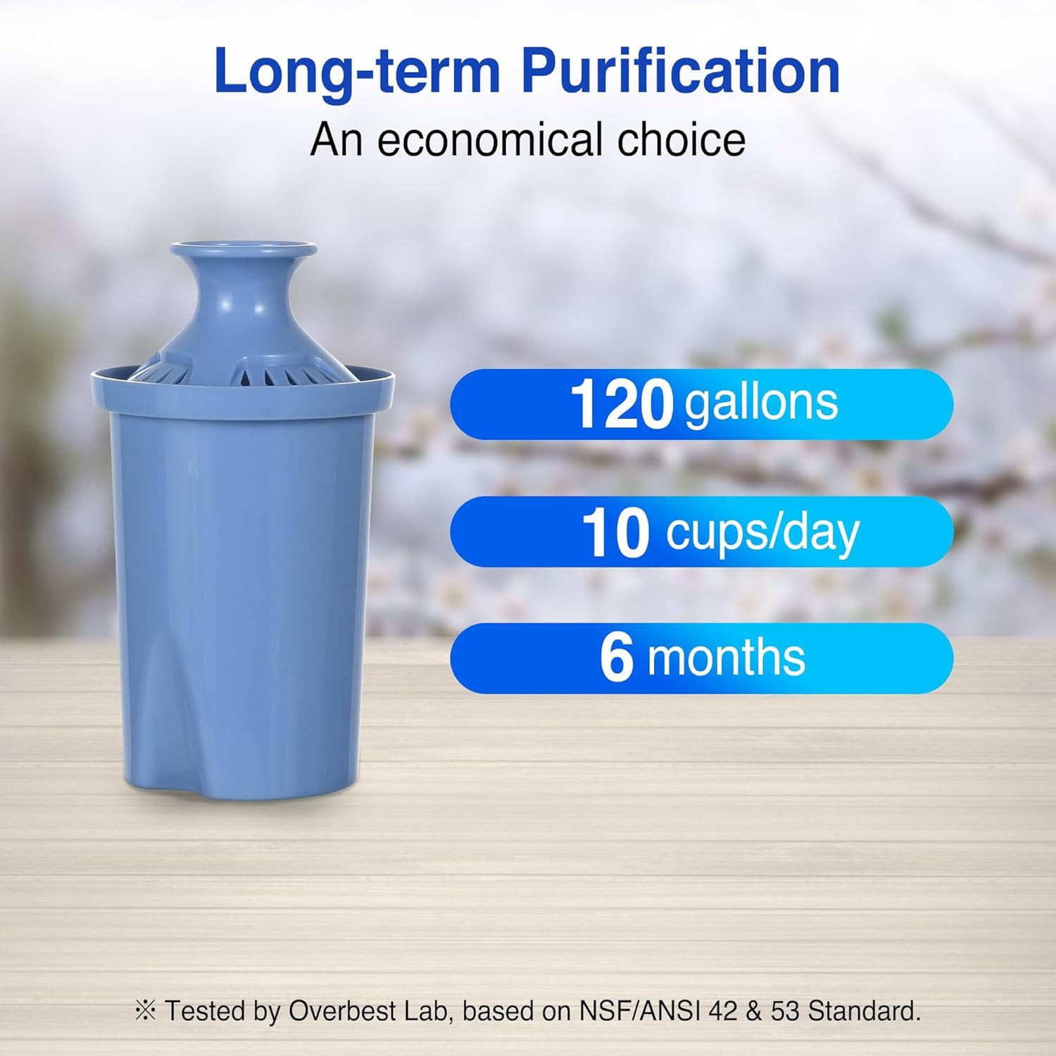 Joey'z Long Lasting Water Filters Compatible Brita Filter Replacement - Reduces Lead, 12 Month Supply - Compatible with Brita Elite Water Filter