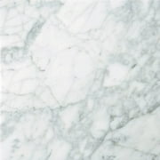 Natural Stone 12" x 12" Marble Tile in Nantes