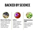 thumbnail image 3 of Suplemento Force Factor Perfect Maca con azafrán 60 comprimidos masticables, 3 of 9