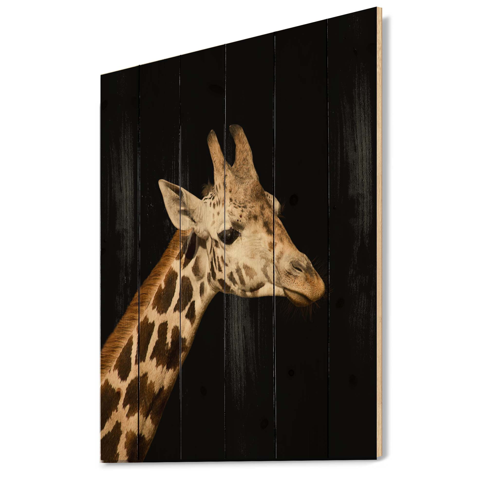 Designart 'Close Up Portrait Of A Giraffe On Black IV' Farmhouse Print on Natural Pine Wood