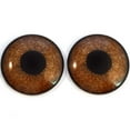thumbnail image 4 of Griffon Brown Bird Glass Eyes, 4 of 11