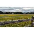 thumbnail image 3 of Highmith, Carol 18x12 Black Modern Framed Museum Art Print Titled - Vivid field of wildflowers in the Lyndon B. Johnson National Historical Park in Johnson City, TX, 3 of 5