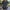 Navy, variant on Jacenvly Summer New Trendy Women Casual Summer Round Neck Half Sleeve Tops and Shorts Two Set Suit Solid Breathable Two Piece Outfits Women Plus Size Army Green