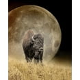 thumbnail image 2 of Schell, Jennie Marie 15x18 Black Ornate Wood Framed with Double Matting Museum Art Print Titled - Buffalo Bison and Moon, 2 of 4