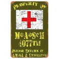 thumbnail image 1 of Chapa Metal Land Force Field Hospital Pintura Hierro Rectangular 20x30cm, 1 of 9