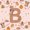 Pink B, variant on Erosebridal Monogrammed L Twin Quilt Set for Girls Boys, Capybara Lover Twin Coverlet Set, 2pcs