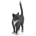 thumbnail image 3 of Schleich - 13770 | Farm World: Black Cat, Standing, 3 of 3