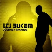 Journey Inwards