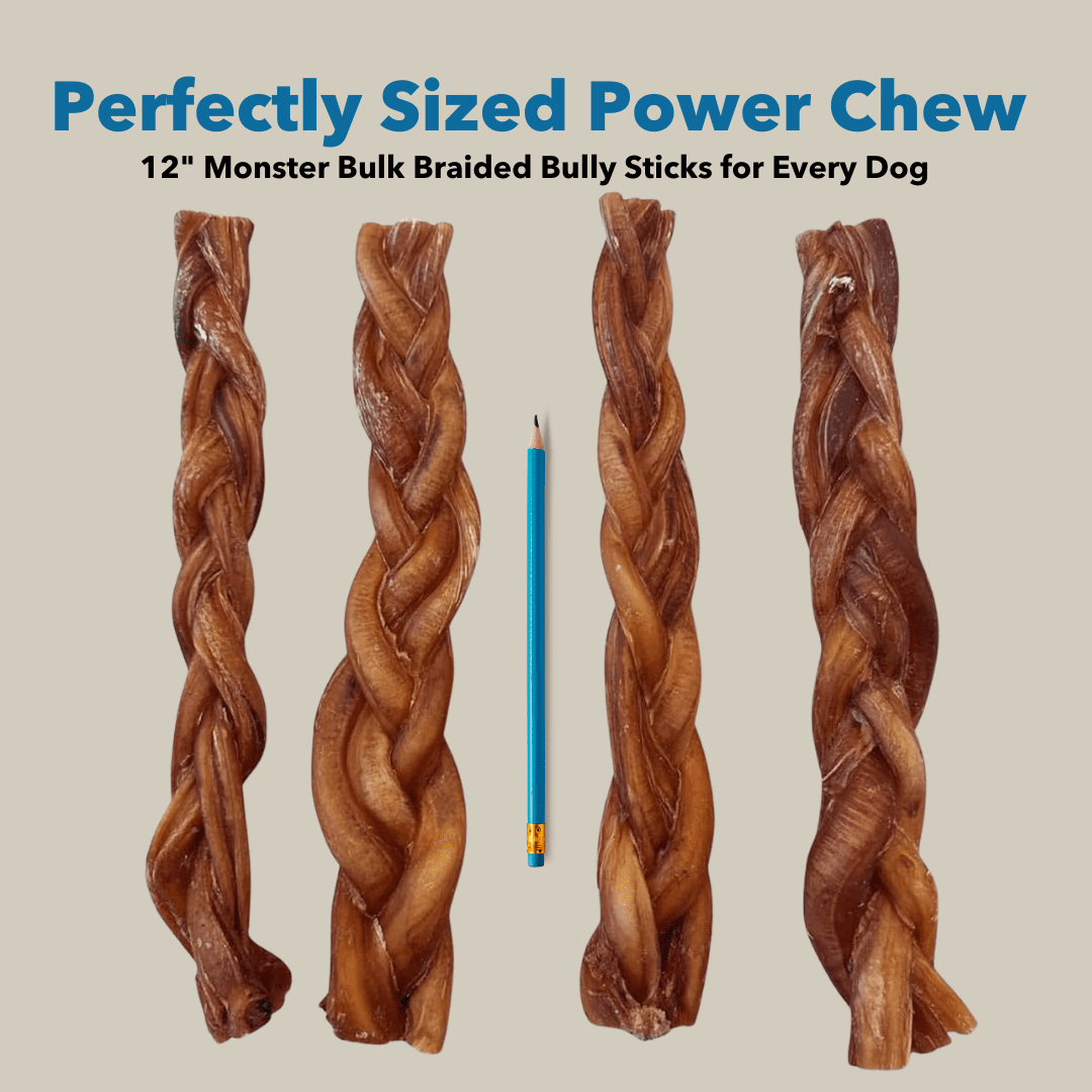 12" Jumbo Bully Sticks
