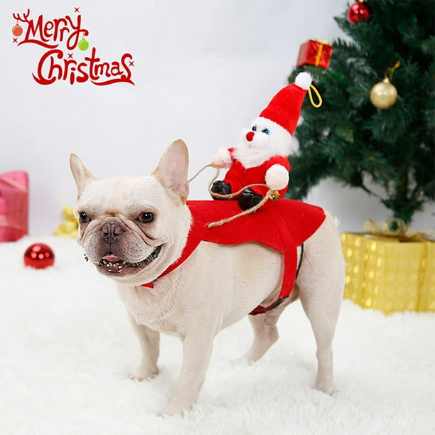 Bulldog santa cheap costume