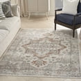 thumbnail image 2 of Nourison Astra Machine Washable 5'3" x 7' Grey Multicolor Vintage Indoor Flatweave Rug, 2 of 10