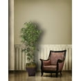 thumbnail image 2 of Vintage Home by Vintage Home 82-in Tall Natural Bamboo Tree in 17-in Fiberstone Planter 36L 36W 81.5H, 2 of 2