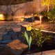 thumbnail image 2 of GOOHOCHY Juego de 2 lámparas solares de tulipán para exteriores, decoración de jardín, color aleatorio, 2 of 8