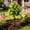 Yellow, variant on TOUMENY Artificial Dandelions Ball Topiary Tree, 18.1in Yellow Plastic Faux with Ground Stake, Lifelike Fake Ball for Garden Decor Outdoor Porch Balcony, Yellow