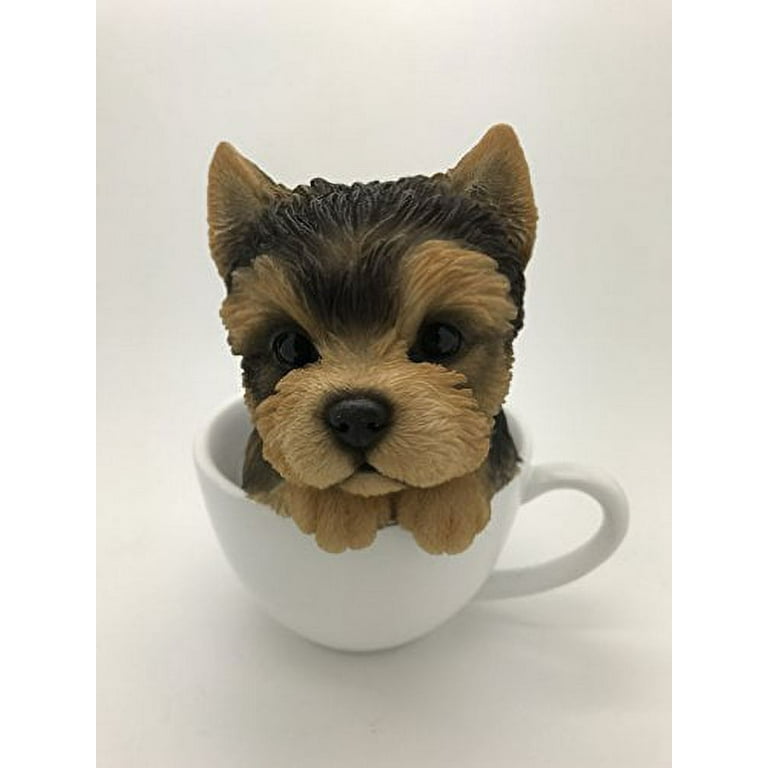 Teacup pup corporation cheap