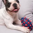 thumbnail image 2 of CNKOO Interactive Bite Resistant Squeaky Dog Chew Toys For Small And Large Dogs, 2 of 6