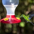 thumbnail image 2 of Bird Feeder Replacement Parts Flowers | Bird Feeder Replacement Parts | Hummingbird Hanging Feeder Replacement Accessories for Outdoor, 2 of 8