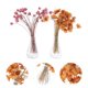 thumbnail image 3 of 2 sets Mini Jarrones de Casa Adornos Miniatura Vidrio Flor Pots Adornos HOMEMAXS 11375160-MX, 3 of 6