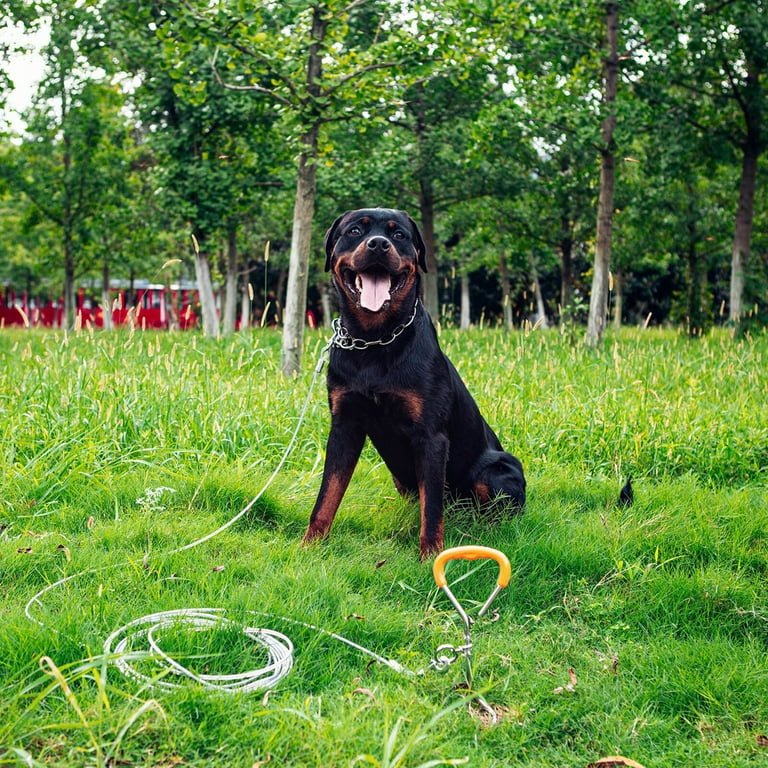 Pet 2024 leash anchor